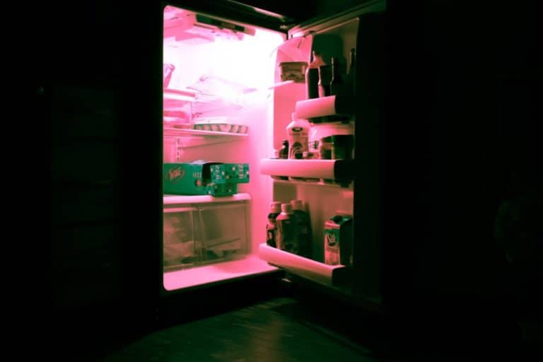 Off-Grid Fridges: Everything You Need to Know
